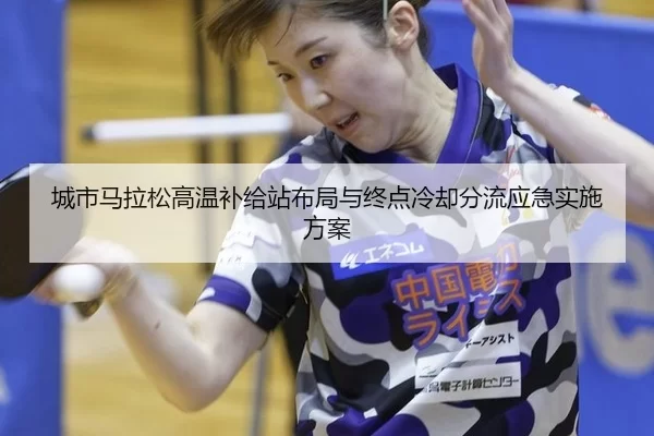 cheng-shi-ma-la-song-gao-wen-bu-ji-zhan-bu-ju-yu-zhong-dian-leng-que-fen-liu-ying-ji-shi-shi-fang-an-2-981.jpg