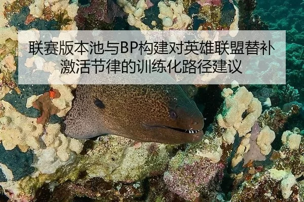 联赛版本池与BP构建对英雄联盟替补激活节律的训练化路径建议