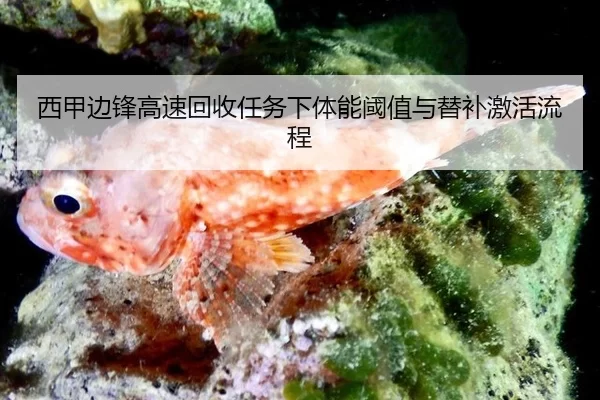xi-jia-bian-feng-gao-su-hui-shou-ren-wu-xia-ti-neng-yu-zhi-yu-ti-bu-ji-huo-liu-cheng-2-201.jpg